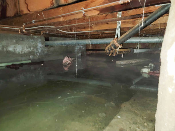 Best Flood Cleanup and Water Removal in Beverly Hills, CA